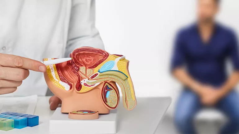 Gömük penis nedir, neden olur? Gömük penis tedavisi ve nedenleri