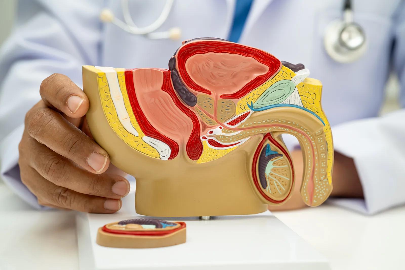 Üretroplasti Ameliyatı