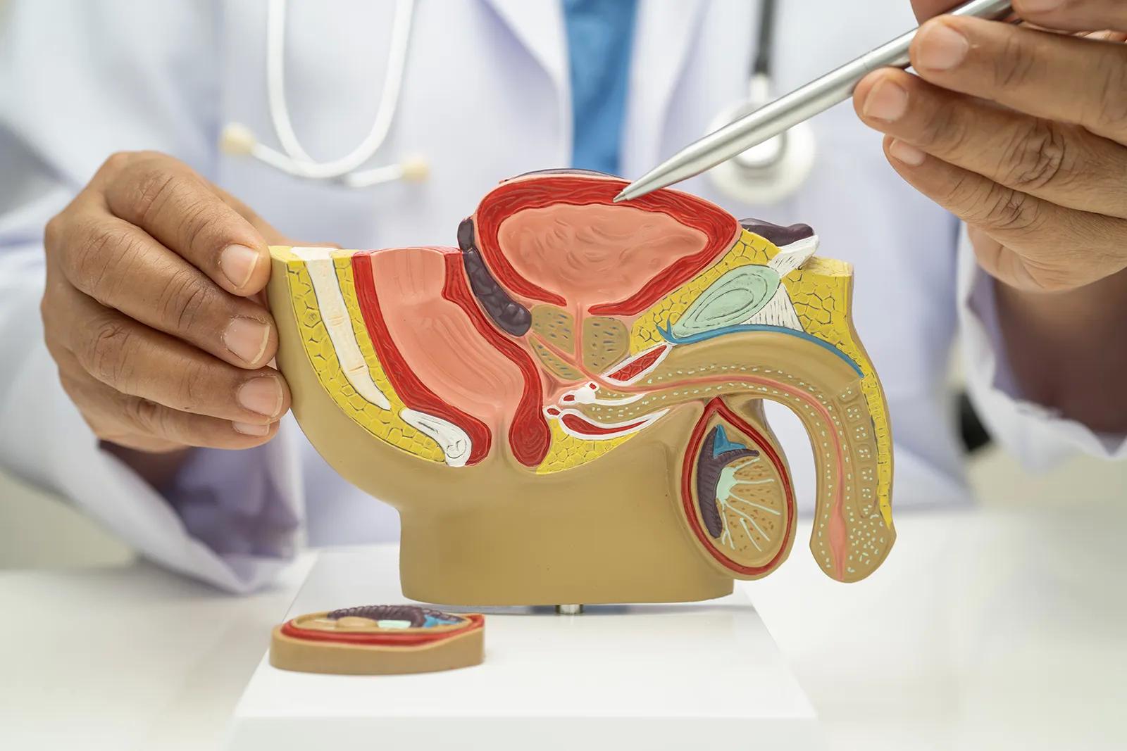 Üretra Darlığında Balon Uygulaması