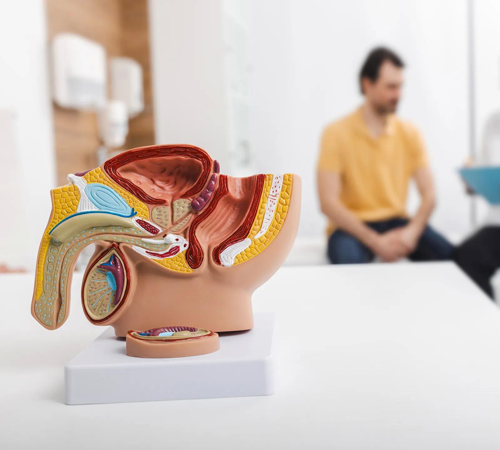 Üretra Darlığında Lazer Uygulaması